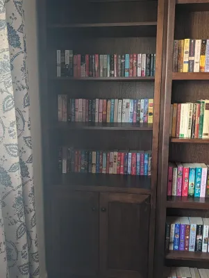Books (bookshelves not for sale)