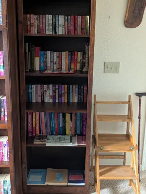 Paperback and hardcover books, shown next to a wooden folding step stool that turns into a chair. (Bookshelf not for sale)