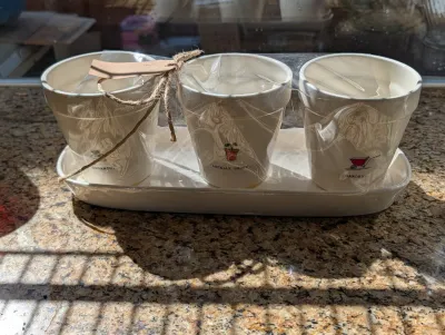 Set of three small white ceramic herb pots on a matching tray, wrapped in plastic with a twine bow and gift tag.
