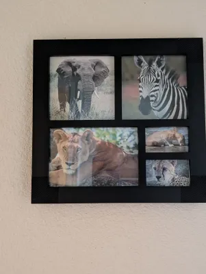 Multi-opening black collage frame featuring five photographs of African wildlife, including an elephant, zebra, lioness, and cheetah.
