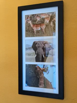 Framed triptych of African wildlife photography, featuring an impala, an elephant, and a lion cub in a black frame with white matting.