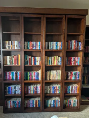 Books (bookshelves not for sale)