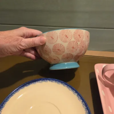 New (ish) Dishes - Pioneer Woman, Pampered Chef and more