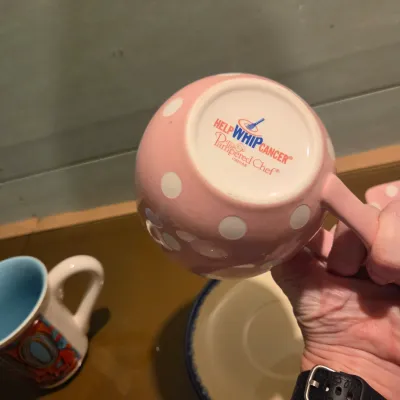 New (ish) Dishes - Pioneer Woman, Pampered Chef and more