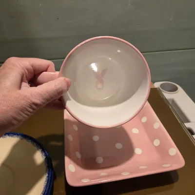 New (ish) Dishes - Pioneer Woman, Pampered Chef and more