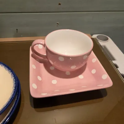 New (ish) Dishes - Pioneer Woman, Pampered Chef and more