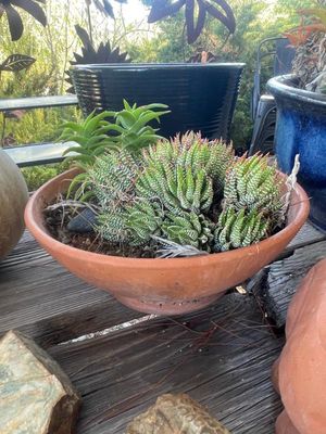 Sale Photo Thumbnail #982