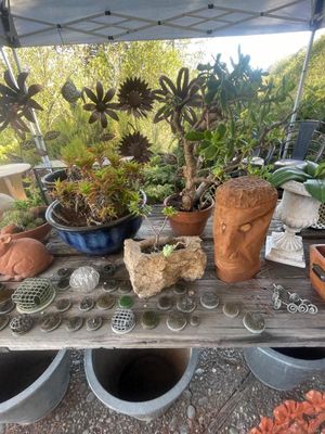Sale Photo Thumbnail #980