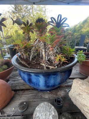 Sale Photo Thumbnail #984