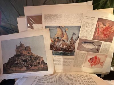 Sale Photo Thumbnail #338