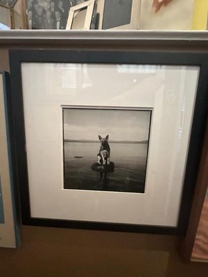 Sale Photo Thumbnail #370