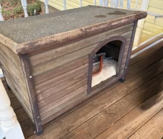 Weathered wooden outdoor dog house featuring an asphalt-shingled roof, off-center entryway, and visible interior bedding.
