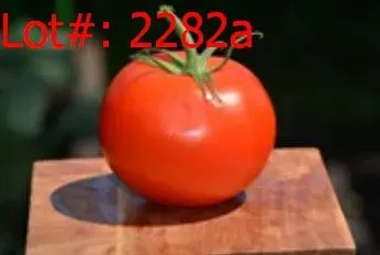Sale Photo Thumbnail #550
