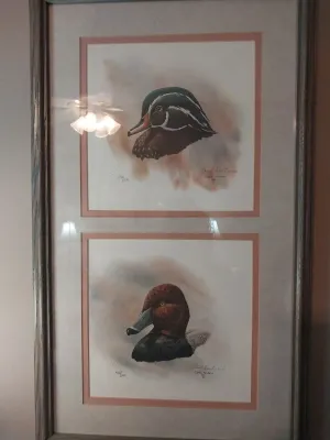 Sale Photo Thumbnail #85: Framed set of two signed and numbered waterfowl art prints featuring duck portraits, housed in a double-matted grey wooden frame.