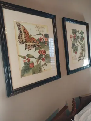 Sale Photo Thumbnail #78: Pair of framed botanical and butterfly art prints in matching dark wood frames with off-white matting.