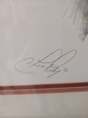 Sale Photo Thumbnail #43: Close-up detail of an artist's signature on a framed and matted artwork.