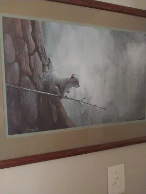 Sale Photo Thumbnail #73: Framed wildlife art print depicting a squirrel on a tree branch, signed and dated 1980.