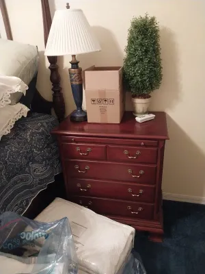 Sale Photo Thumbnail #71: Traditional mahogany-finished nightstand with brass batwing hardware, topped with a blue ceramic table lamp and a potted artificial topiary.