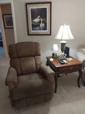 Sale Photo Thumbnail #21: Brown plush upholstered recliner paired with a dark wood cabriole-leg end table, an urn-style table lamp, and framed swan wall art.