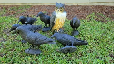 Collection of plastic bird decoys, including six black crows or ravens and one realistic owl figure, suitable for garden or hunting use.