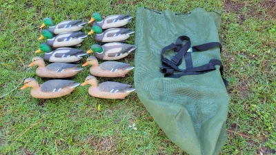 Set of ten plastic duck hunting decoys including drakes and hens, accompanied by a green mesh carrying bag with backpack straps.