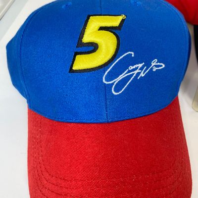 LOT 84: NASCAR Collection and More - Hats, Shirts, Sweatshirts, Drinking Glasses (Some New in Package Included)