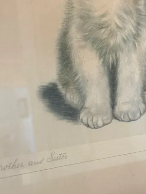 Sale Photo Thumbnail #302: Vintage framed animal print titled "Brother and Sister," depicting the front paws and chest of fluffy kittens or puppies.