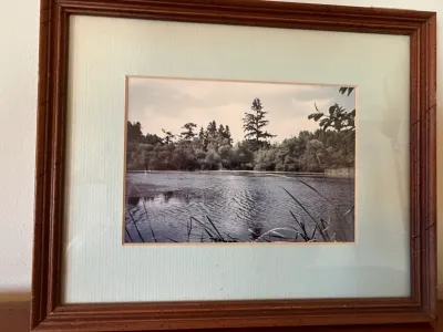 Sale Photo Thumbnail #296: Framed landscape photo depicting a serene body of water bordered by lush trees, housed in a molded dark wood frame with a cream-colored mat.