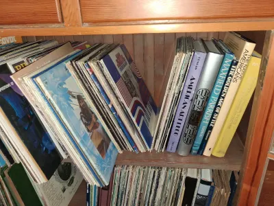 Sale Photo Thumbnail #160: Wooden shelf filled with vinyl records and vintage art history and culture books.