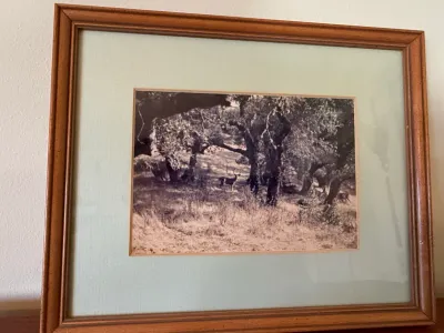 Sale Photo Thumbnail #333: Framed black-and-white print featuring a woodland scene with deer, set within a wide beige mat and a simple wooden frame.
