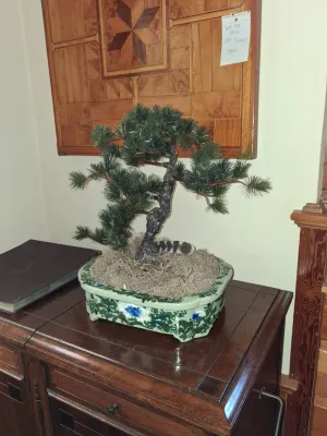 Sale Photo Thumbnail #84: Artificial pine bonsai tree set in a floral painted ceramic Planter pot, positioned on a wooden cabinet.