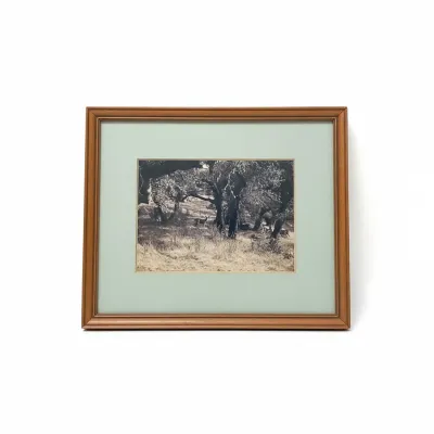 Sale Photo Thumbnail #331: Framed black-and-white nature photograph depicting deer among trees in a rural landscape, housed in a light green mat and wood frame.