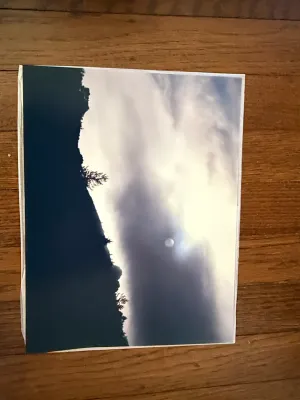 Sale Photo Thumbnail #269: Color landscape photographic print depicting silhouetted pine trees against a cloudy sky with the sun or moon breaking through.