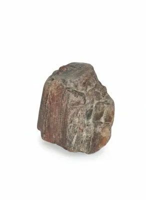 Sale Photo Thumbnail #49: Natural petrified wood specimen featuring rich reddish-brown and grey tones with a rough, bark-like texture.