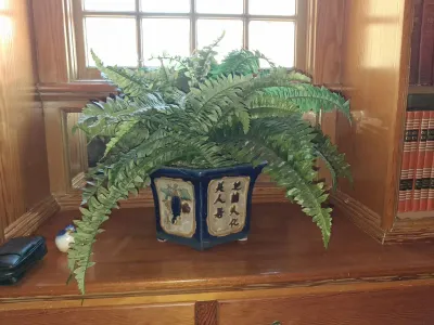 Sale Photo Thumbnail #94: Faux green fern presented in a cobalt blue hexagonal ceramic pot with Chinese calligraphic panels, set on a wooden shelf.