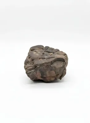 Sale Photo Thumbnail #54: Fossilized dark brown rock or mineral specimen, showing natural segmentation and rough texture.