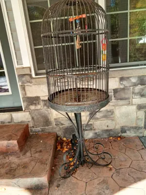 Wrought Iron Domed Bird Cage