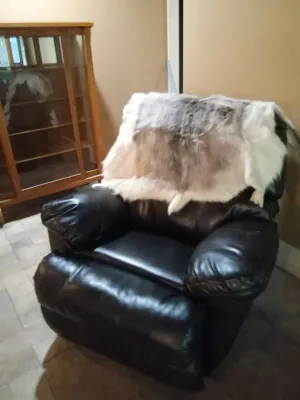 Sale Photo Thumbnail #46: Leather Reclining Chair