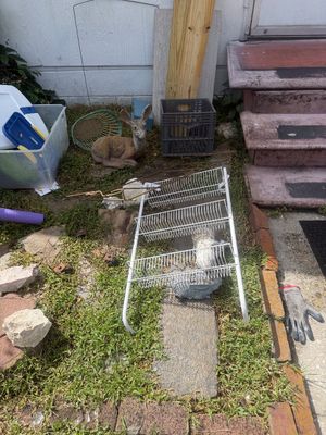 Sale Photo Thumbnail #156