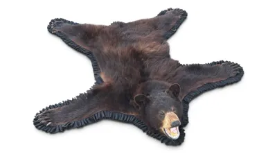 Sale Photo Thumbnail #4: Bear rug