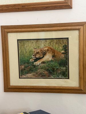 Sale Photo Thumbnail #934