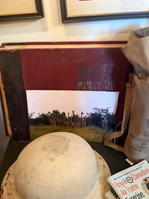 Sale Photo Thumbnail #837
