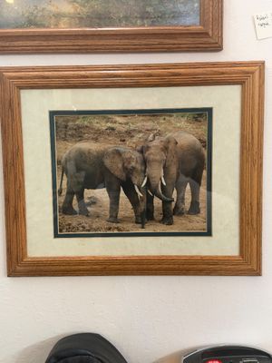 Sale Photo Thumbnail #933