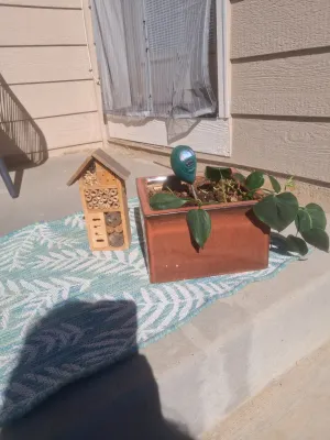 Sale Photo Thumbnail #359: LONG GREEN LEAF PATTERN RUNNER RUG, DECORATIVE BIRD cage LANTERN WITH PLANTER, CERAMIC PLANTER WITH MOISTURE METER, WOODEN BUG HOTEL, AND MORE. ALL ITEMS ARE IN USED CONDITION WITH LIGHT WEAR.