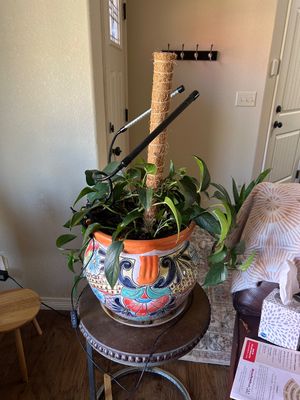 Sale Photo Thumbnail #256: Planter 14” Across x 13” T 
Plant stand is not included