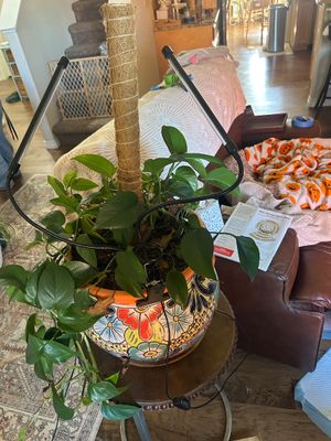 Sale Photo Thumbnail #257: Planter 14” Across x 13” T 
Plant stand is not included