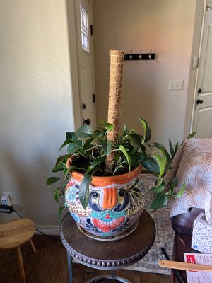 Sale Photo Thumbnail #254: Planter 14” Across x 13” T 
Plant stand is not included