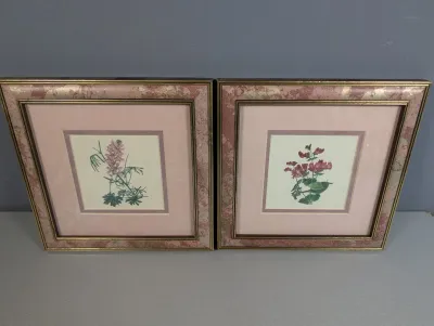 Sale Photo Thumbnail #455: Pair of framed botanical floral art prints with pink mats and gold-accented marbled frames.