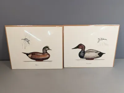 Sale Photo Thumbnail #462: Pair of vintage duck prints depicting a Widgeon and a Canvasback, shrink-wrapped on cardboard backings.