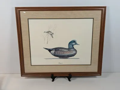 Sale Photo Thumbnail #129: Framed duck print titled 'Wigeon', presented in a linen mat and a classic dark wood frame.